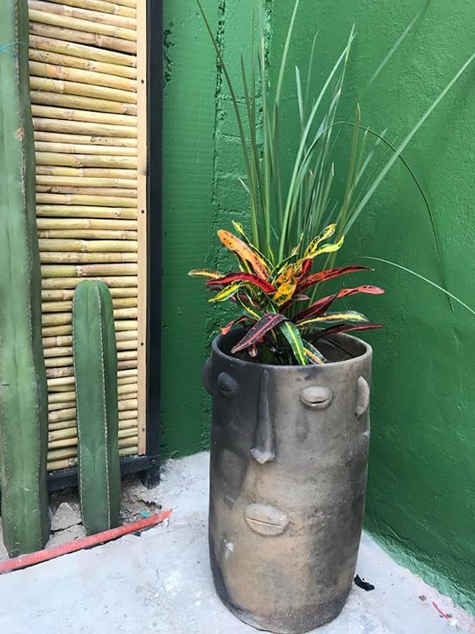 Casa Comoda Con Patio A 4 Cuadras De La Catedral. Oaxaca Eksteriør billede